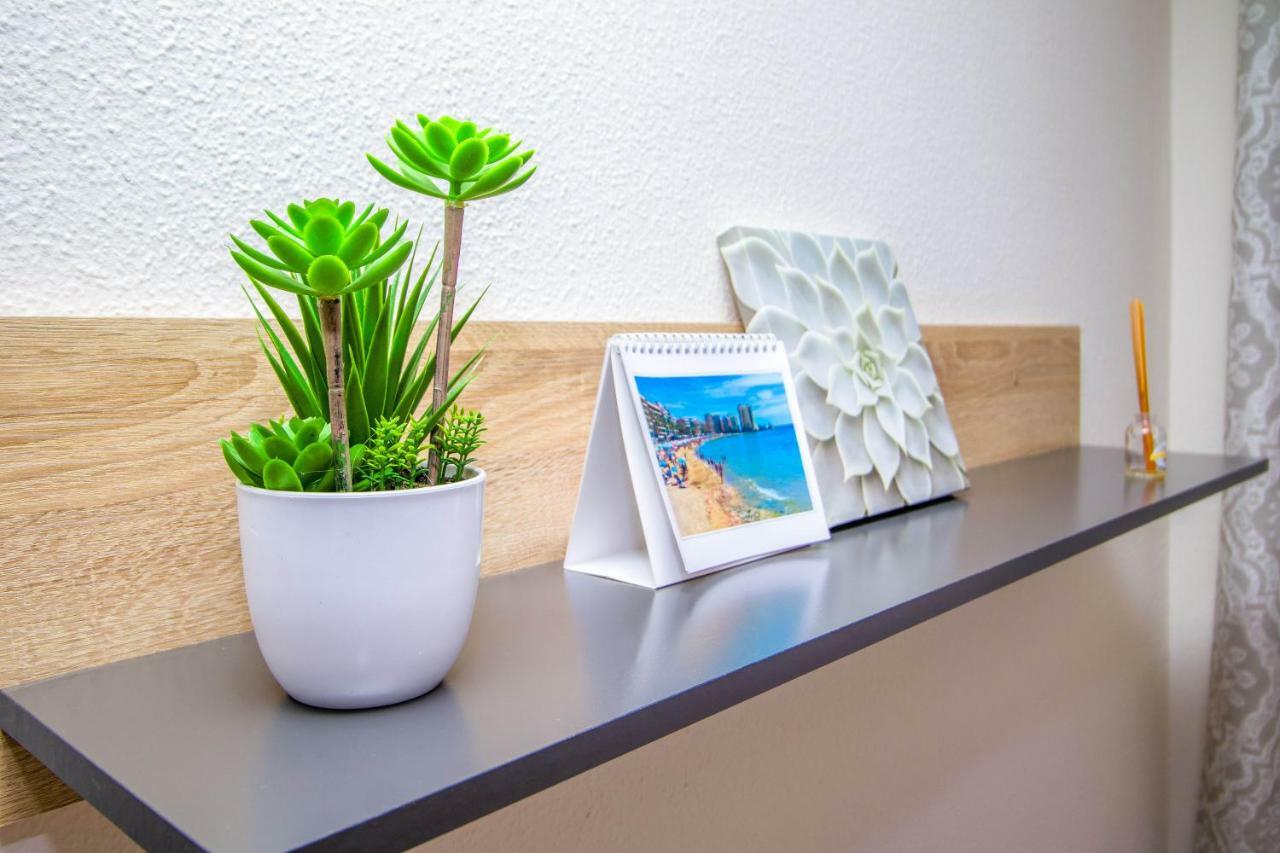 Jose Hurtado Apartamento Torrevieja Eksteriør bilde